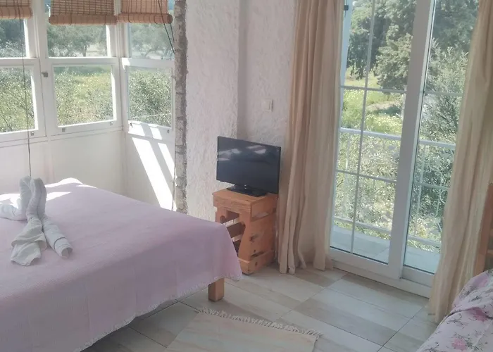 Hotel Chakra Boutique *