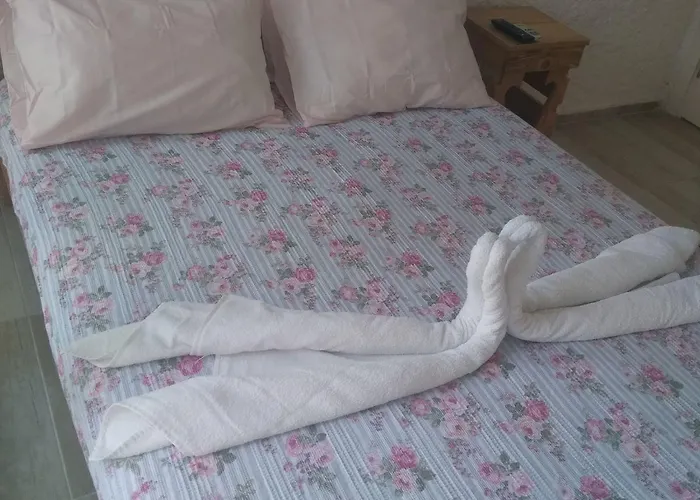 Hotel Chakra Boutique *