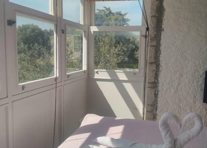 Hotel Chakra Boutique