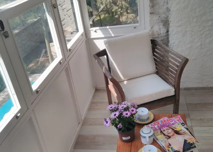 Hotel Chakra Boutique *